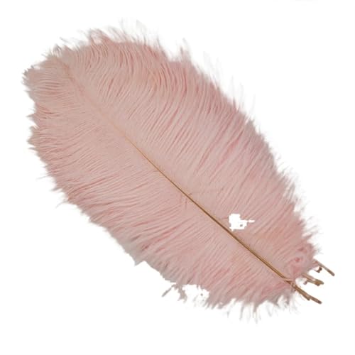 TXLEAPEY StraußEnfedern 10 Stück Bunte Straußenfedern, Bastelzubehör, Traumfänger, Dekoration, Schmuckherstellung, natürliche Federn, Tischdekoration(Light pink,15-20cm 6-8inch) von TXLEAPEY