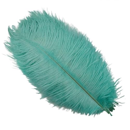 TXLEAPEY StraußEnfedern 10 Stück Bunte Straußenfedern, Bastelzubehör, Traumfänger, Dekoration, Schmuckherstellung, natürliche Federn, Tischdekoration(Mint Green,30-35cm 12-14inch) von TXLEAPEY