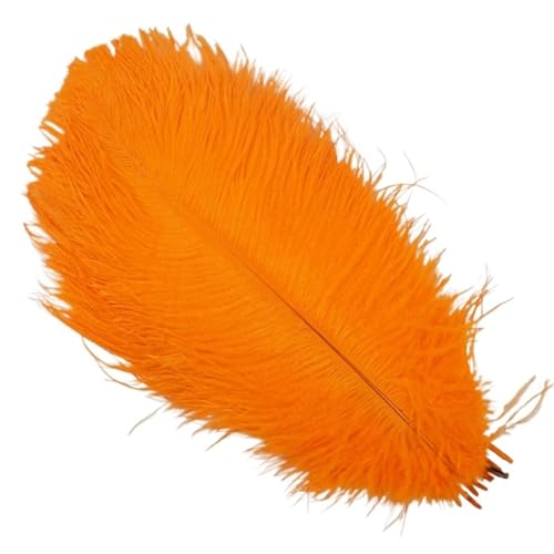 TXLEAPEY StraußEnfedern 10 Stück Bunte Straußenfedern, Bastelzubehör, Traumfänger, Dekoration, Schmuckherstellung, natürliche Federn, Tischdekoration(Orange,15-20cm 6-8inch) von TXLEAPEY