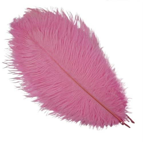 TXLEAPEY StraußEnfedern 10 Stück Bunte Straußenfedern, Bastelzubehör, Traumfänger, Dekoration, Schmuckherstellung, natürliche Federn, Tischdekoration(Pink,15-20cm 6-8inch) von TXLEAPEY