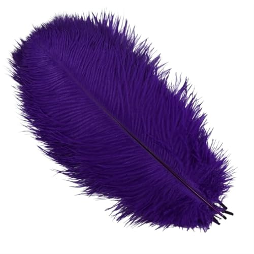 TXLEAPEY StraußEnfedern 10 Stück Bunte Straußenfedern, Bastelzubehör, Traumfänger, Dekoration, Schmuckherstellung, natürliche Federn, Tischdekoration(Purple,20-25cm 8-10inch) von TXLEAPEY