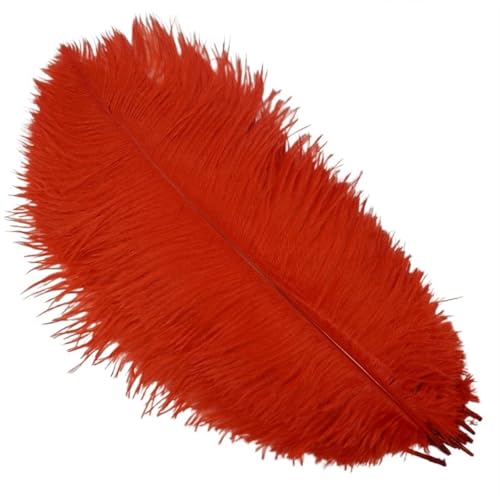 TXLEAPEY StraußEnfedern 10 Stück Bunte Straußenfedern, Bastelzubehör, Traumfänger, Dekoration, Schmuckherstellung, natürliche Federn, Tischdekoration(Red,35-40cm 14-16inch) von TXLEAPEY