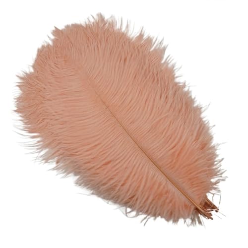 TXLEAPEY StraußEnfedern 10 Stück Bunte Straußenfedern, Bastelzubehör, Traumfänger, Dekoration, Schmuckherstellung, natürliche Federn, Tischdekoration(Shell pink,30-35cm 12-14inch) von TXLEAPEY