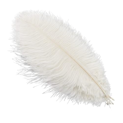 TXLEAPEY StraußEnfedern 10 Stück Bunte Straußenfedern, Bastelzubehör, Traumfänger, Dekoration, Schmuckherstellung, natürliche Federn, Tischdekoration(White,30-35cm 12-14inch) von TXLEAPEY