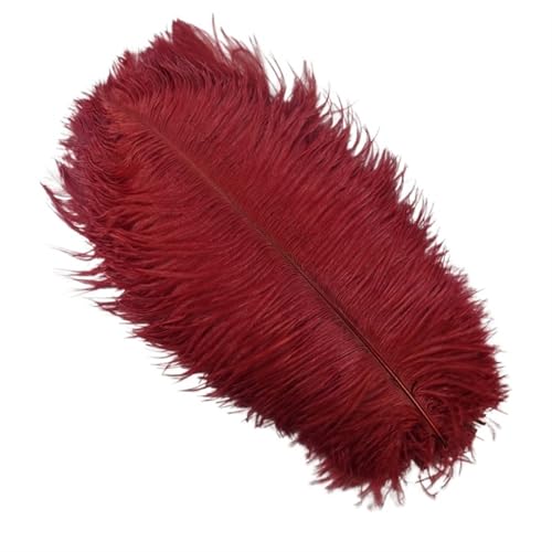 TXLEAPEY StraußEnfedern 10 Stück Bunte Straußenfedern, Bastelzubehör, Traumfänger, Dekoration, Schmuckherstellung, natürliche Federn, Tischdekoration(Wine red,20-25cm 8-10inch) von TXLEAPEY