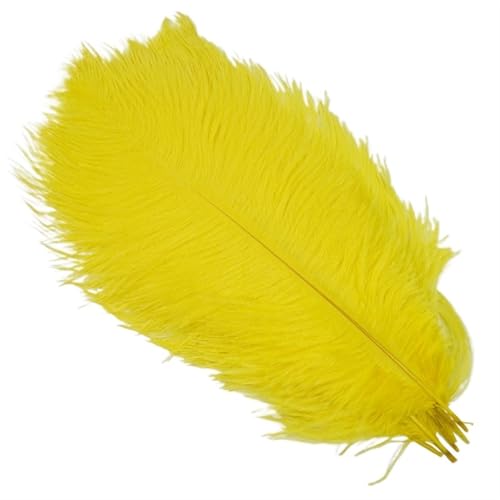 TXLEAPEY StraußEnfedern 10 Stück Bunte Straußenfedern, Bastelzubehör, Traumfänger, Dekoration, Schmuckherstellung, natürliche Federn, Tischdekoration(Yellow,35-40cm 14-16inch) von TXLEAPEY