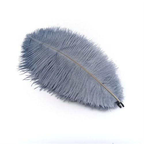 TXLEAPEY StraußEnfedern 10 Stück Straußenfedern zur Schmuckherstellung, Federschmuck, DIY, Traumfänger, Dekoration, Vase, Handarbeit, Bastelbedarf, Hochzeitszubehör(Gray Feathers) von TXLEAPEY