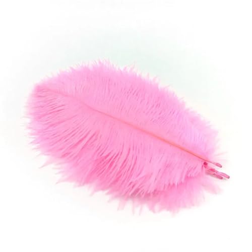 TXLEAPEY StraußEnfedern 10 Stück Straußenfedern zur Schmuckherstellung, Federschmuck, DIY, Traumfänger, Dekoration, Vase, Handarbeit, Bastelbedarf, Hochzeitszubehör(Pink Feathers) von TXLEAPEY