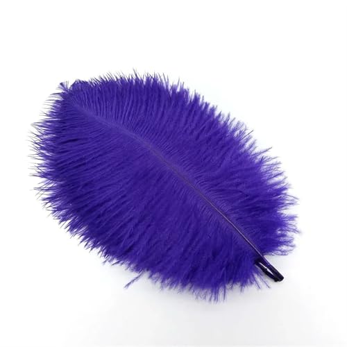 TXLEAPEY StraußEnfedern 10 Stück Straußenfedern zur Schmuckherstellung, Federschmuck, DIY, Traumfänger, Dekoration, Vase, Handarbeit, Bastelbedarf, Hochzeitszubehör(Purple Feathers) von TXLEAPEY