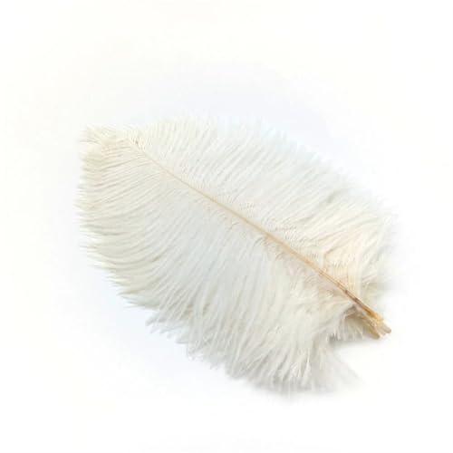 TXLEAPEY StraußEnfedern 10 Stück Straußenfedern zur Schmuckherstellung, Federschmuck, DIY, Traumfänger, Dekoration, Vase, Handarbeit, Bastelbedarf, Hochzeitszubehör(White Feathers) von TXLEAPEY