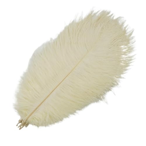 TXLEAPEY StraußEnfedern 10 Stück farbige Straußenfedern for Basteln, Federdekoration, DIY, Urlaub, Karneval, Hochzeitsdekoration(Beige,25-30cm 10-12inch) von TXLEAPEY