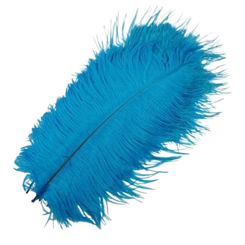 TXLEAPEY StraußEnfedern 10 Stück farbige Straußenfedern for Basteln, Federdekoration, DIY, Urlaub, Karneval, Hochzeitsdekoration(Blue,15-20cm 6-8inch) von TXLEAPEY