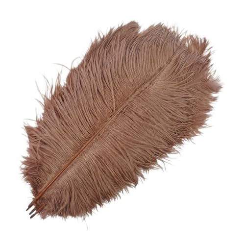 TXLEAPEY StraußEnfedern 10 Stück farbige Straußenfedern for Basteln, Federdekoration, DIY, Urlaub, Karneval, Hochzeitsdekoration(Brown,25-30cm 10-12inch) von TXLEAPEY