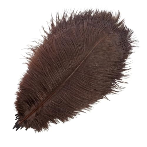 TXLEAPEY StraußEnfedern 10 Stück farbige Straußenfedern for Basteln, Federdekoration, DIY, Urlaub, Karneval, Hochzeitsdekoration(Dark Brown,15-20cm 6-8inch) von TXLEAPEY