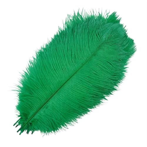 TXLEAPEY StraußEnfedern 10 Stück farbige Straußenfedern for Basteln, Federdekoration, DIY, Urlaub, Karneval, Hochzeitsdekoration(Grass Green,25-30cm 10-12inch) von TXLEAPEY