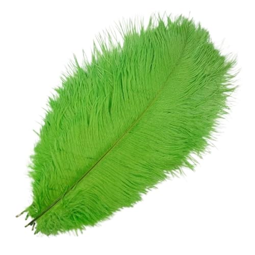 TXLEAPEY StraußEnfedern 10 Stück farbige Straußenfedern for Basteln, Federdekoration, DIY, Urlaub, Karneval, Hochzeitsdekoration(Green1,50-55cm 20-22inch) von TXLEAPEY