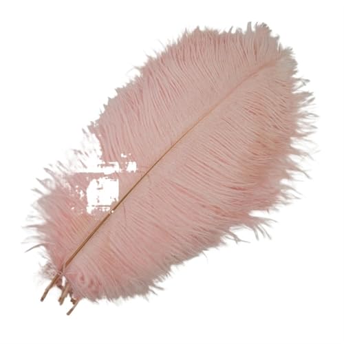 TXLEAPEY StraußEnfedern 10 Stück farbige Straußenfedern for Basteln, Federdekoration, DIY, Urlaub, Karneval, Hochzeitsdekoration(Light Pink,35-40cm 14-16inch) von TXLEAPEY