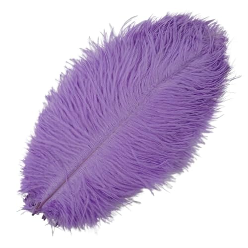 TXLEAPEY StraußEnfedern 10 Stück farbige Straußenfedern for Basteln, Federdekoration, DIY, Urlaub, Karneval, Hochzeitsdekoration(Light Purple,15-20cm 6-8inch) von TXLEAPEY