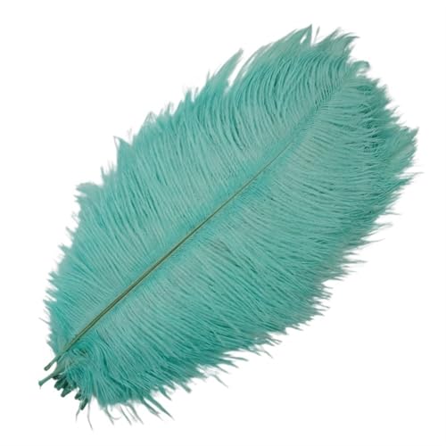 TXLEAPEY StraußEnfedern 10 Stück farbige Straußenfedern for Basteln, Federdekoration, DIY, Urlaub, Karneval, Hochzeitsdekoration(Mint Green,45-50cm 18-20inch) von TXLEAPEY