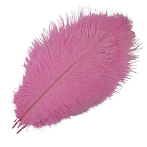 TXLEAPEY StraußEnfedern 10 Stück farbige Straußenfedern for Basteln, Federdekoration, DIY, Urlaub, Karneval, Hochzeitsdekoration(Pink,25-30cm 10-12inch) von TXLEAPEY