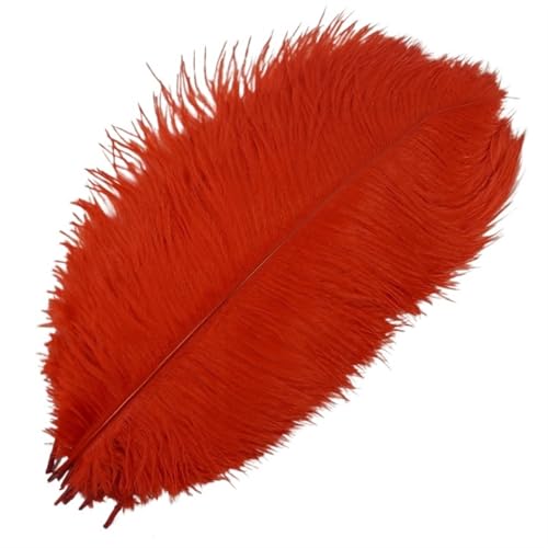 TXLEAPEY StraußEnfedern 10 Stück farbige Straußenfedern for Basteln, Federdekoration, DIY, Urlaub, Karneval, Hochzeitsdekoration(Red,15-20cm 6-8inch) von TXLEAPEY