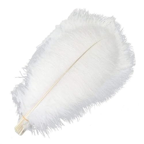 TXLEAPEY StraußEnfedern 10 Stück farbige Straußenfedern for Basteln, Federdekoration, DIY, Urlaub, Karneval, Hochzeitsdekoration(White,35-40cm 14-16inch) von TXLEAPEY