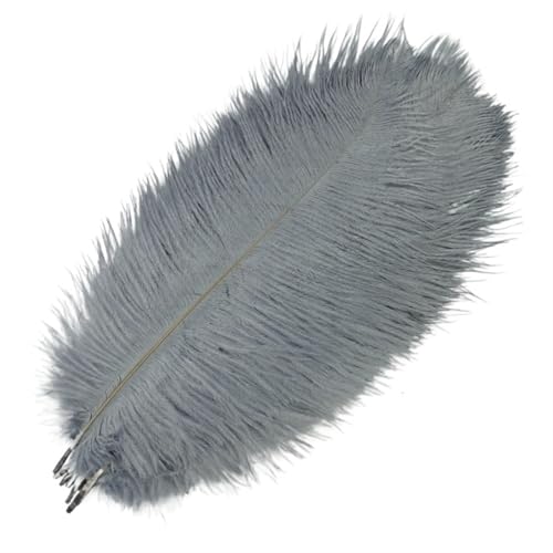 TXLEAPEY StraußEnfedern 10 Stück farbige Straußenfedern for Basteln, Federdekoration, Tischdekoration, Schmuck, Kunsthandwerk, Dekoration(Gray,45-50cm 18-20inch) von TXLEAPEY