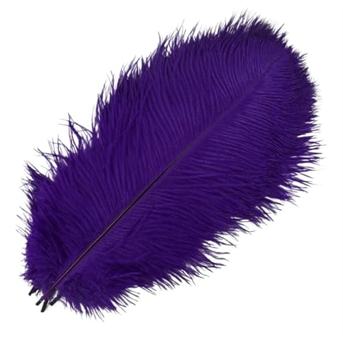 TXLEAPEY StraußEnfedern 10 Stück farbige Straußenfedern for Basteln, Federdekoration, Tischdekoration, Schmuck, Kunsthandwerk, Dekoration(Purple,50-55cm 20-22inch) von TXLEAPEY