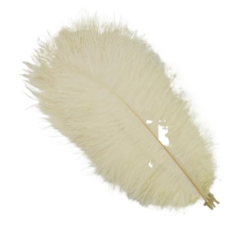 TXLEAPEY StraußEnfedern 10 Stück farbige Straußenfedern for Basteln, Hochzeitsdekoration, Bastelzubehör, Tischdekoration, Karnevalsdeko(Beige,25-30cm 10-12inch) von TXLEAPEY