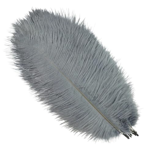 TXLEAPEY StraußEnfedern 10 Stück farbige Straußenfedern for Basteln, Hochzeitsdekoration, Bastelzubehör, Tischdekoration, Karnevalsdeko(Gray,25-30cm 10-12inch) von TXLEAPEY