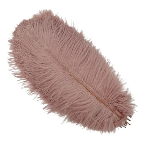 TXLEAPEY StraußEnfedern 10 Stück farbige Straußenfedern for Basteln, Hochzeitsdekoration, Bastelzubehör, Tischdekoration, Karnevalsdeko(Leather pink,30-35cm 12-14inch) von TXLEAPEY