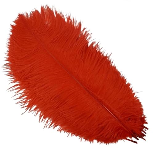 TXLEAPEY StraußEnfedern 10 Stück farbige Straußenfedern for Basteln, Hochzeitsdekoration, Bastelzubehör, Tischdekoration, Karnevalsdeko(Red,30-35cm 12-14inch) von TXLEAPEY