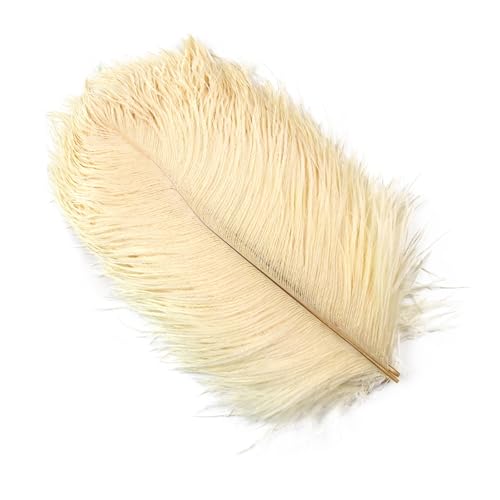 TXLEAPEY StraußEnfedern 10 Stück farbige Straußenfedern for Basteln, Hochzeitsdekoration, DIY, Urlaub, Karneval, Hochzeit, Großzubehör, 15-40 cm(Beige,30-35CM) von TXLEAPEY