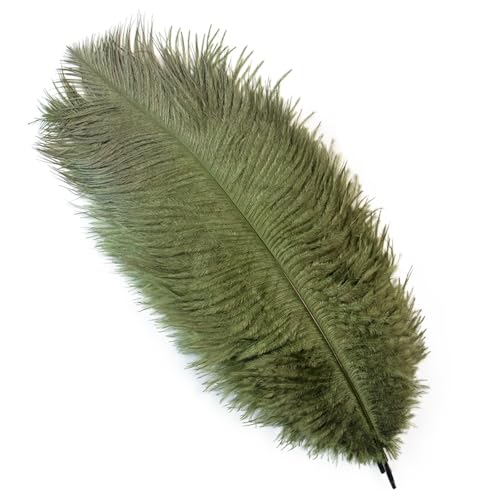 TXLEAPEY StraußEnfedern 10 Stück farbige Straußenfedern for Basteln, Hochzeitsdekoration, DIY, Urlaub, Karneval, Hochzeit, Großzubehör, 15-40 cm(Deep Green,35-40CM) von TXLEAPEY