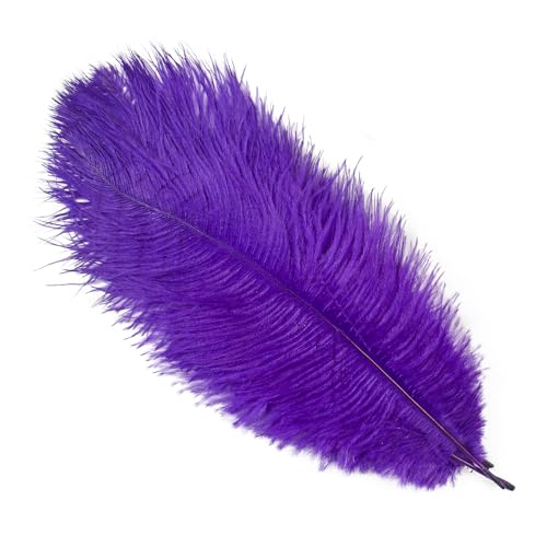 TXLEAPEY StraußEnfedern 10 Stück farbige Straußenfedern for Basteln, Hochzeitsdekoration, DIY, Urlaub, Karneval, Hochzeit, Großzubehör, 15-40 cm(Purple,30-35CM) von TXLEAPEY