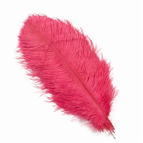 TXLEAPEY StraußEnfedern 10 Stück farbige Straußenfedern for Basteln, Hochzeitsdekoration, DIY, Urlaub, Karneval, Hochzeit, Großzubehör, 15-40 cm(West Red,20-25CM) von TXLEAPEY