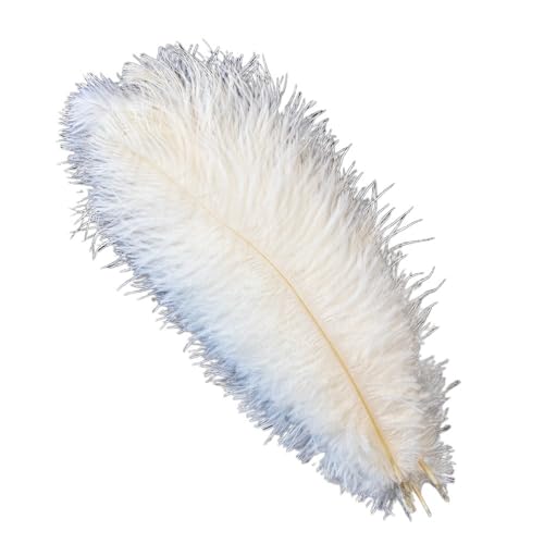 TXLEAPEY StraußEnfedern 10 Stück farbige Straußenfedern for Basteln, Hochzeitsdekoration, DIY, Urlaub, Karneval, Hochzeit, Großzubehör, 15-40 cm(White,30-35CM) von TXLEAPEY