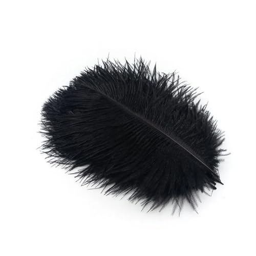 TXLEAPEY StraußEnfedern 10 Stücke Straußenfedern Plumes DIY Schmuckherstellung Hochzeit Dekoration Basteln Zubehör Handarbeiten Plumas Tischdekoration(Black Feathers,10pcs 25.30cm) von TXLEAPEY