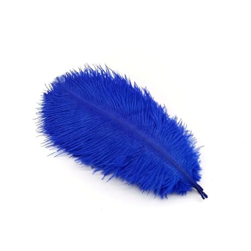 TXLEAPEY StraußEnfedern 10 Stücke Straußenfedern Plumes DIY Schmuckherstellung Hochzeit Dekoration Basteln Zubehör Handarbeiten Plumas Tischdekoration(Blue Feathers,10pcs 25.30cm) von TXLEAPEY