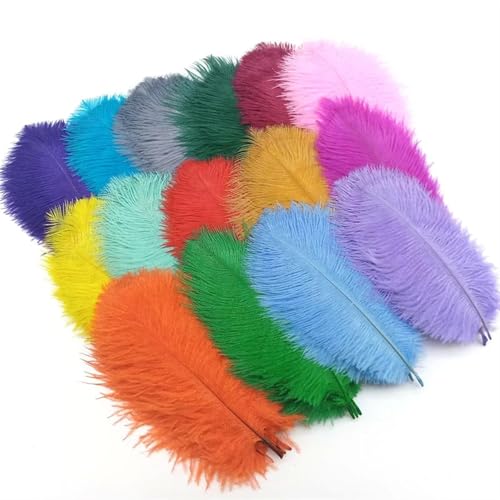 TXLEAPEY StraußEnfedern 10 Stücke Straußenfedern Plumes DIY Schmuckherstellung Hochzeit Dekoration Basteln Zubehör Handarbeiten Plumas Tischdekoration(Color Mixing,10pcs 25.30cm) von TXLEAPEY