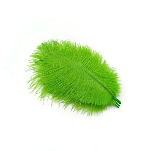 TXLEAPEY StraußEnfedern 10 Stücke Straußenfedern Plumes DIY Schmuckherstellung Hochzeit Dekoration Basteln Zubehör Handarbeiten Plumas Tischdekoration(Green Feathers,10pcs 20.25cm) von TXLEAPEY