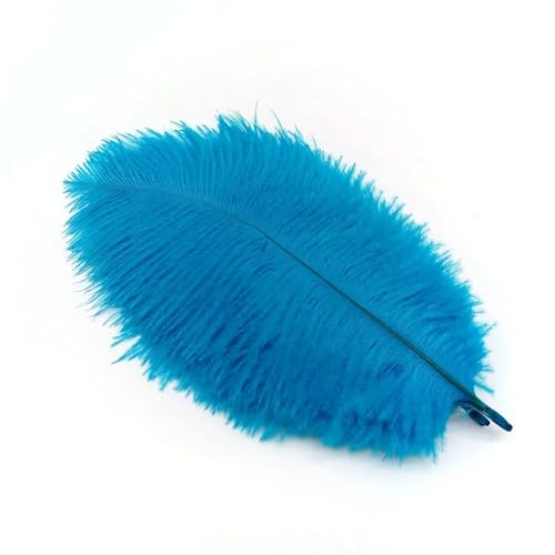 TXLEAPEY StraußEnfedern 10 Stücke Straußenfedern Plumes DIY Schmuckherstellung Hochzeit Dekoration Basteln Zubehör Handarbeiten Plumas Tischdekoration(Lake Blue Feathers,10pcs 25.30cm) von TXLEAPEY