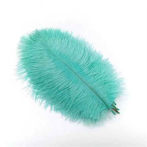 TXLEAPEY StraußEnfedern 10 Stücke Straußenfedern Plumes DIY Schmuckherstellung Hochzeit Dekoration Basteln Zubehör Handarbeiten Plumas Tischdekoration(Mint Green Feathers,10pcs 20.25cm) von TXLEAPEY