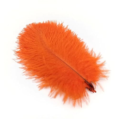 TXLEAPEY StraußEnfedern 10 Stücke Straußenfedern Plumes DIY Schmuckherstellung Hochzeit Dekoration Basteln Zubehör Handarbeiten Plumas Tischdekoration(Orange Feathers,10pcs 20.25cm) von TXLEAPEY