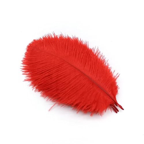 TXLEAPEY StraußEnfedern 10 Stücke Straußenfedern Plumes DIY Schmuckherstellung Hochzeit Dekoration Basteln Zubehör Handarbeiten Plumas Tischdekoration(Red Feathers,10pcs 15.20cm) von TXLEAPEY