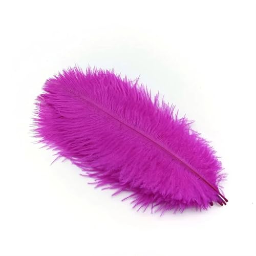 TXLEAPEY StraußEnfedern 10 Stücke Straußenfedern Plumes DIY Schmuckherstellung Hochzeit Dekoration Basteln Zubehör Handarbeiten Plumas Tischdekoration(Rose Red Feathers,10pcs 15.20cm) von TXLEAPEY