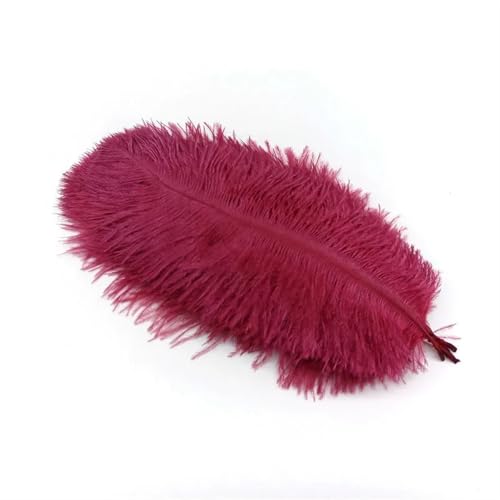 TXLEAPEY StraußEnfedern 10 Stücke Straußenfedern Plumes DIY Schmuckherstellung Hochzeit Dekoration Basteln Zubehör Handarbeiten Plumas Tischdekoration(Wine red Feathers,10pcs 25.30cm) von TXLEAPEY