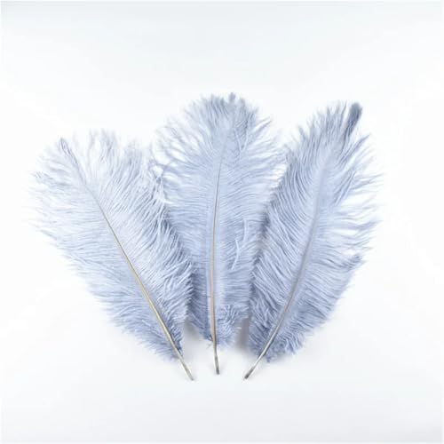 TXLEAPEY StraußEnfedern 10 stücke Straußenfedern for Handwerk DIY Schmuck Machen Hochzeit Party Kleidung Dekoration Handarbeiten Zubehör Plumes 35-40cm(Gray Feathers) von TXLEAPEY