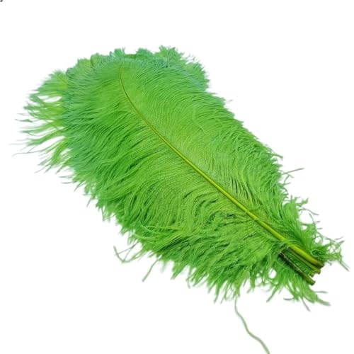 TXLEAPEY StraußEnfedern 10Pcs Straußen Federn for Handwerk Hochzeit Decor Handwerk Zubehör Tisch Mittelstücke Karneval Weihnachten(Green,30-35cm 12-14inch) von TXLEAPEY