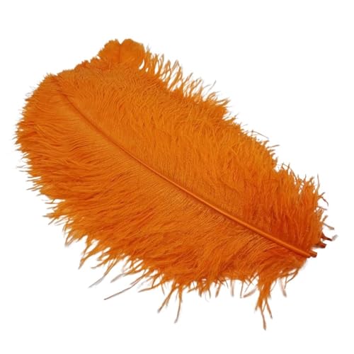 TXLEAPEY StraußEnfedern 10Pcs Straußen Federn for Handwerk Hochzeit Decor Handwerk Zubehör Tisch Mittelstücke Karneval Weihnachten(Orange,30-35cm 12-14inch) von TXLEAPEY